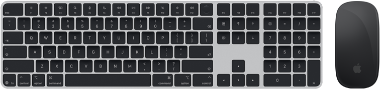 Επάνω όψη του Magic Keyboard με Touch ID και Magic Mouse