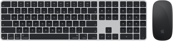 Επάνω όψη του Magic Keyboard με Touch ID και Magic Mouse