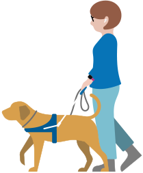 Une personne malvoyante portant des AirPods marche avec son chien d’assistance